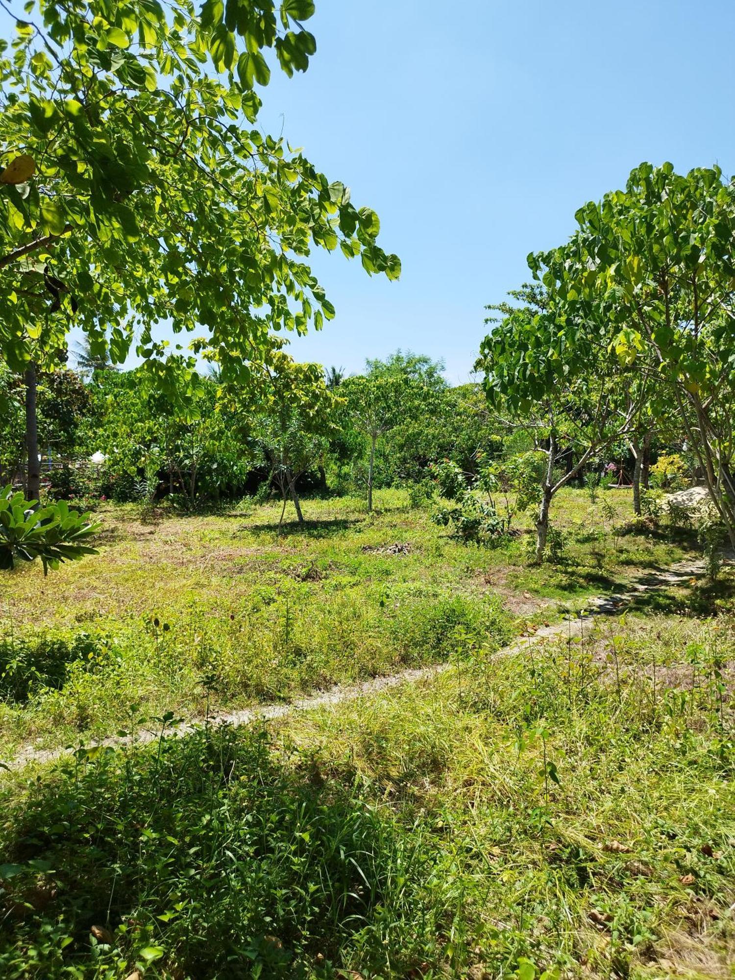 Celtis Resort Wyspa Malapascua Zewnętrze zdjęcie